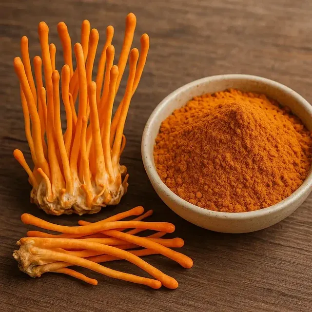 Orange Cordyceps militaris mushrooms and powder