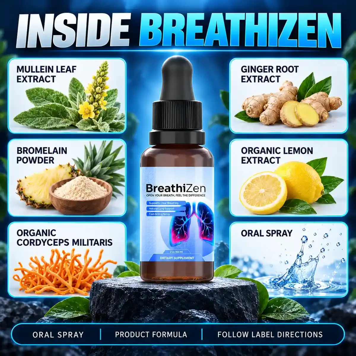 Inside Breathizen graphic from the brand: mullein leaf, ginger root, bromelain, organic lemon, organic Cordyceps militaris and oral spray around a bottle